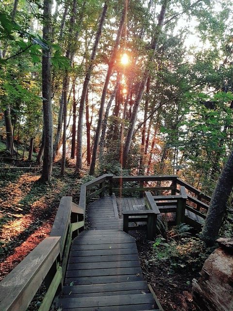 Blueback Beach Access